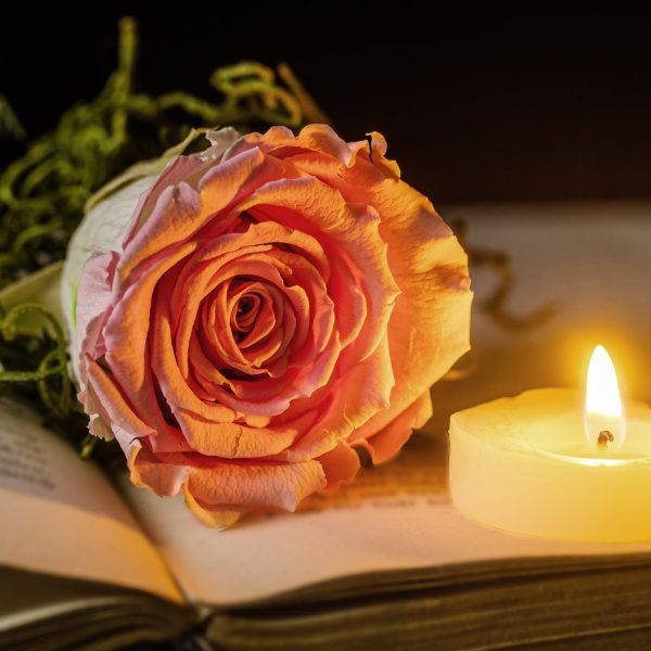candlelight candlelight
